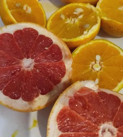 Archontiko Art Hotel 3*