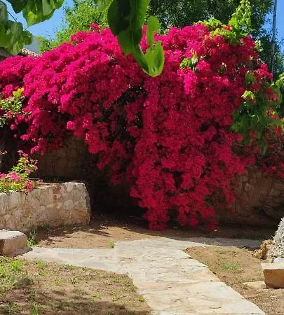 Archontiko Art Hotel 3*